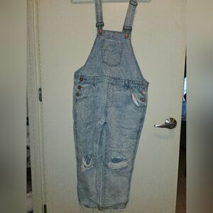 One Teaspoon Distressed Denim Overalls